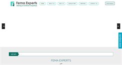 Desktop Screenshot of femaexperts.com